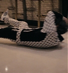 473.jpg
