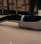 474.jpg